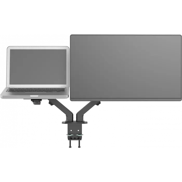 VFM-DAD-4_front_monitor_laptop.png.webp